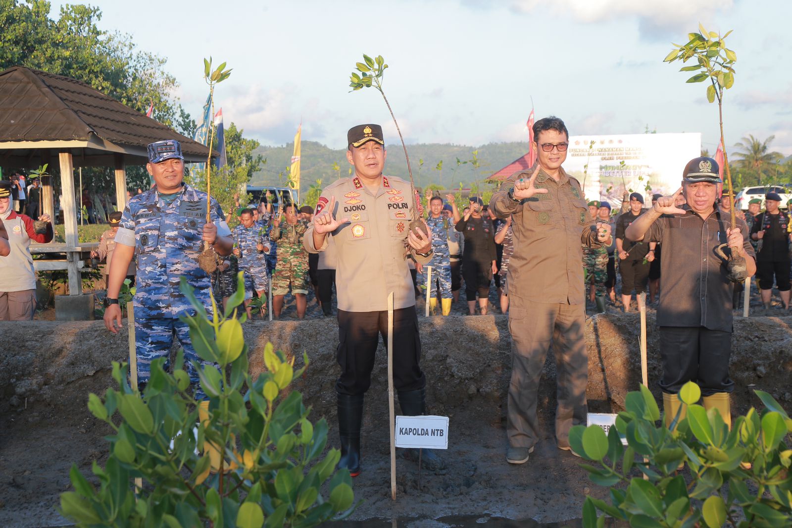 Kapolda NTB Bersama Danrem dan Pemerintah Lakukan Penanaman Mangrove di Sekotong Lobar