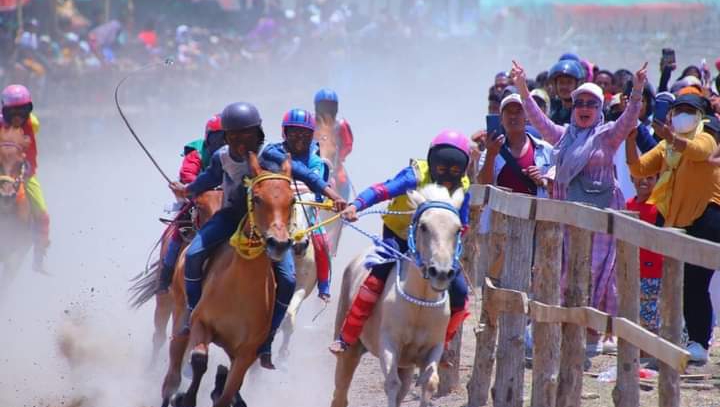Pemkot Bima: Sukses untuk Festival Pacuan Kuda Tradisi Sambinae, Antusias Warga Tinggi, UMKM Sejahtera